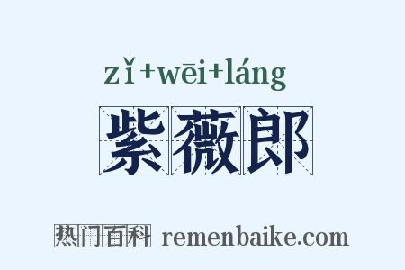 紫薇郎是什么意思的图片